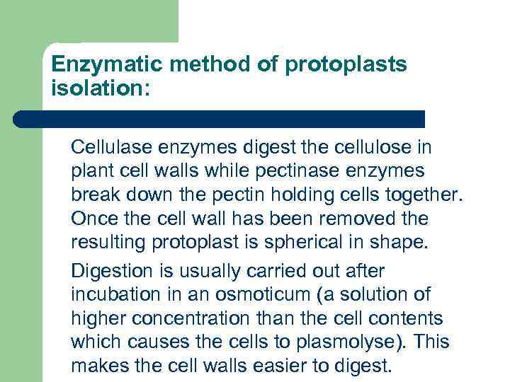 Enzymatic method of protoplasts isolation: Cellulase enzymes digest the cellulose in plant cell walls