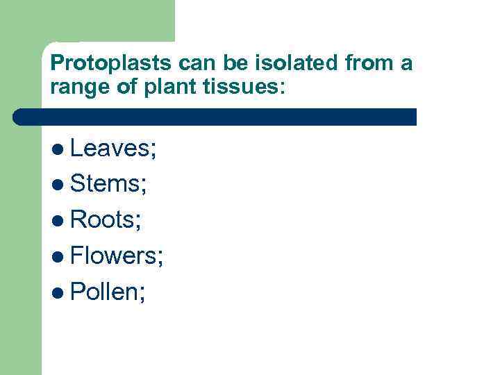 Protoplasts can be isolated from a range of plant tissues: l Leaves; l Stems;