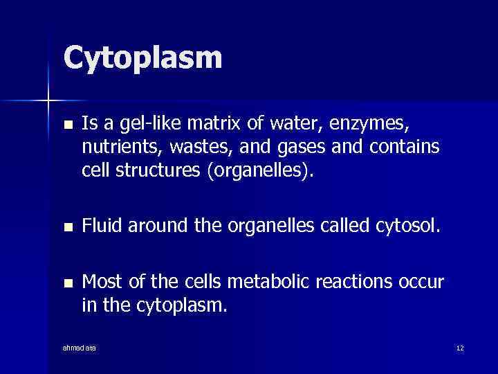 Cytoplasm n Is a gel-like matrix of water, enzymes, nutrients, wastes, and gases and