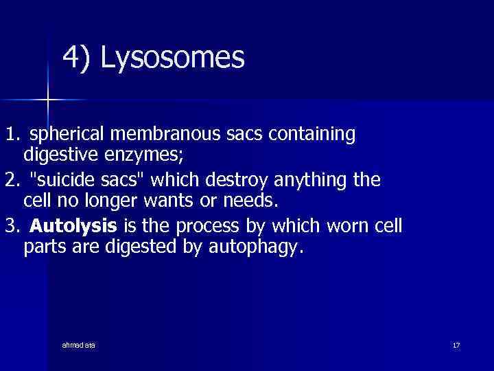 4) Lysosomes 1. spherical membranous sacs containing digestive enzymes; 2. 