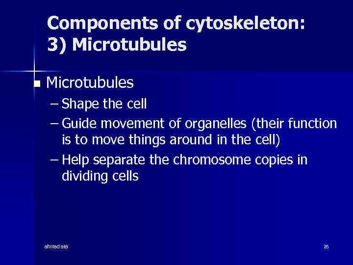 Components of cytoskeleton: 3) Microtubules n Microtubules – Shape the cell – Guide movement