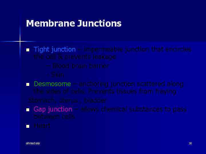 Membrane Junctions Tight junction – impermeable junction that encircles the cell & prevents leakage
