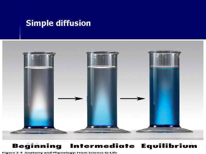 Simple diffusion ahmad ata 35 
