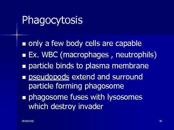 Phagocytosis only a few body cells are capable n Ex. WBC (macrophages , neutrophils)