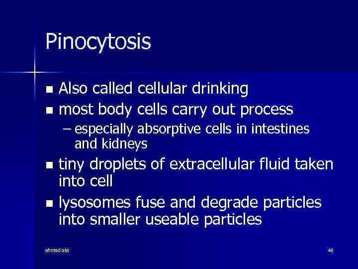 Pinocytosis Also called cellular drinking n most body cells carry out process n –