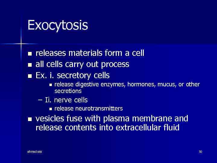 Exocytosis n n n releases materials form a cell all cells carry out process