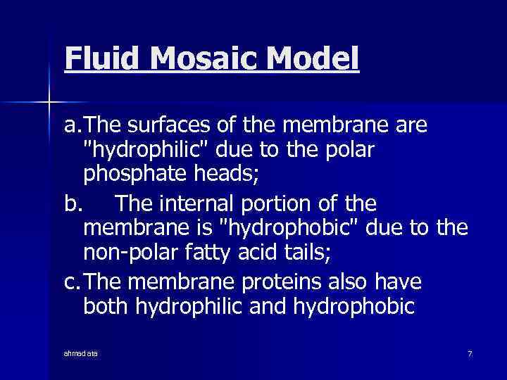 Fluid Mosaic Model a. The surfaces of the membrane are 