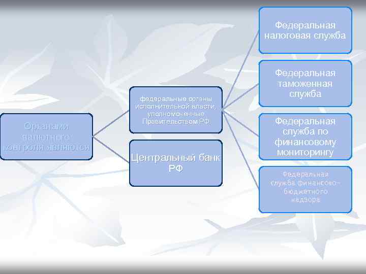 Федеральная налоговая служба Органами валютного контроля являются федеральные органы исполнительной власти, уполномоченные Правительством РФ