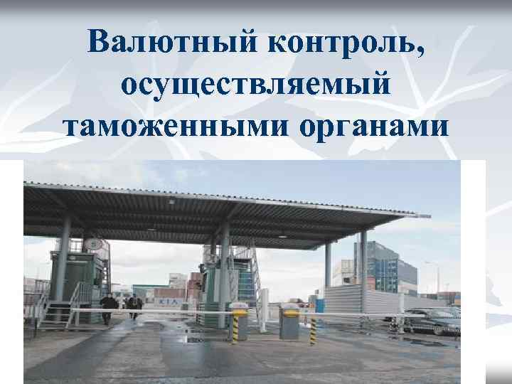 Валютный контроль, осуществляемый таможенными органами 