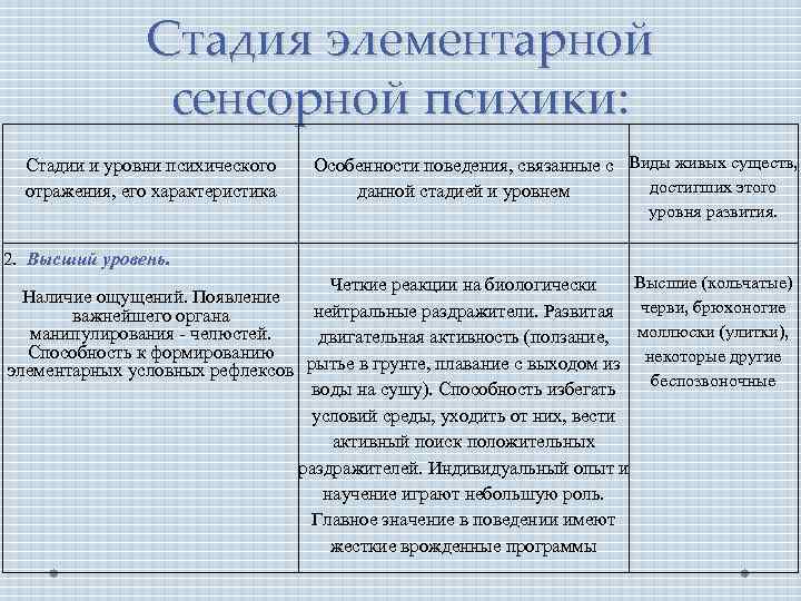 Доклад по теме Характеристика поведения и психического отражения на стадии интеллекта