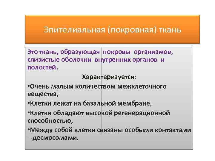 Эпителиальная (покровная) ткань Это ткань, образующая покровы организмов, слизистые оболочки внутренних органов и полостей.