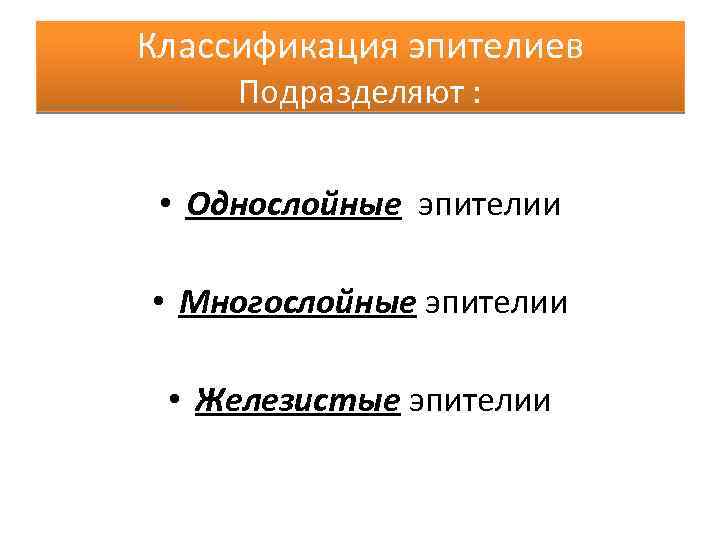 Классификация эпителиев Подразделяют : • Однослойные эпителии • Многослойные эпителии • Железистые эпителии 