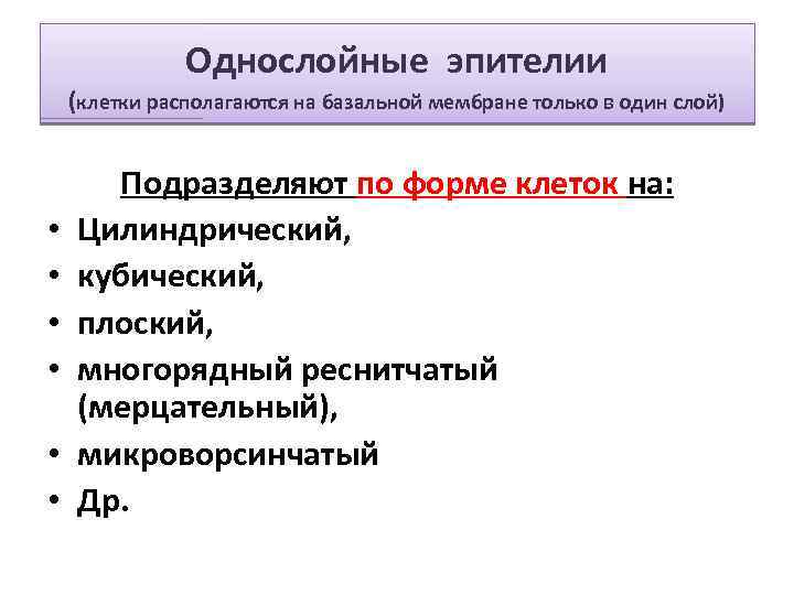 Однослойные эпителии (клетки располагаются на базальной мембране только в один слой) • • •