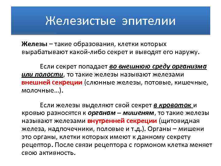 Железистые эпителии Железы – такие образования, клетки которых вырабатывают какой-либо секрет и выводят его