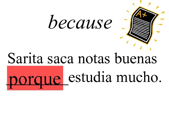 because Sarita saca notas buenas ____estudia mucho. porque 