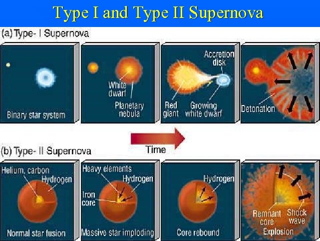 Type I and Type II Supernova 