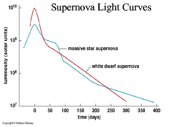 Supernova Light Curves 