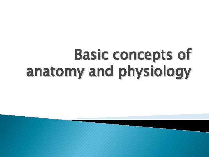 Basic concepts of anatomy and physiology 
