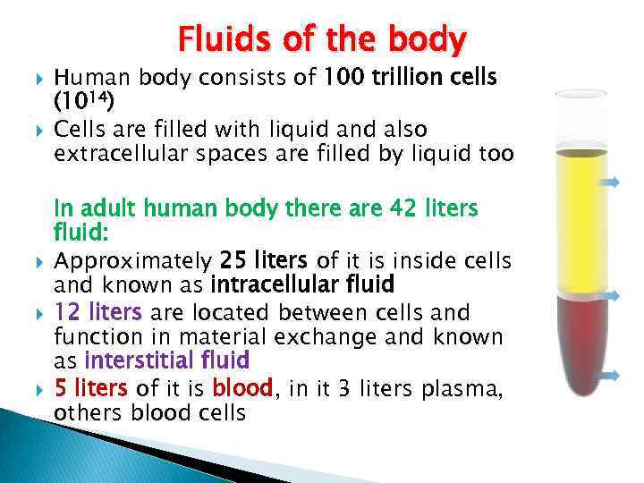 Fluids of the body Human body consists of 100 trillion cells (1014) Cells are