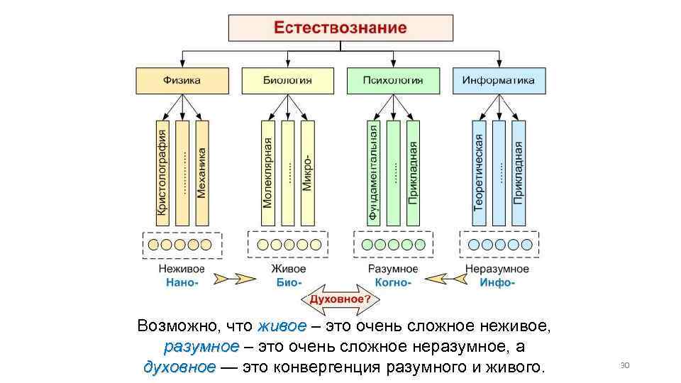 Возможно, что живое – это очень сложное неживое, разумное – это очень сложное неразумное,