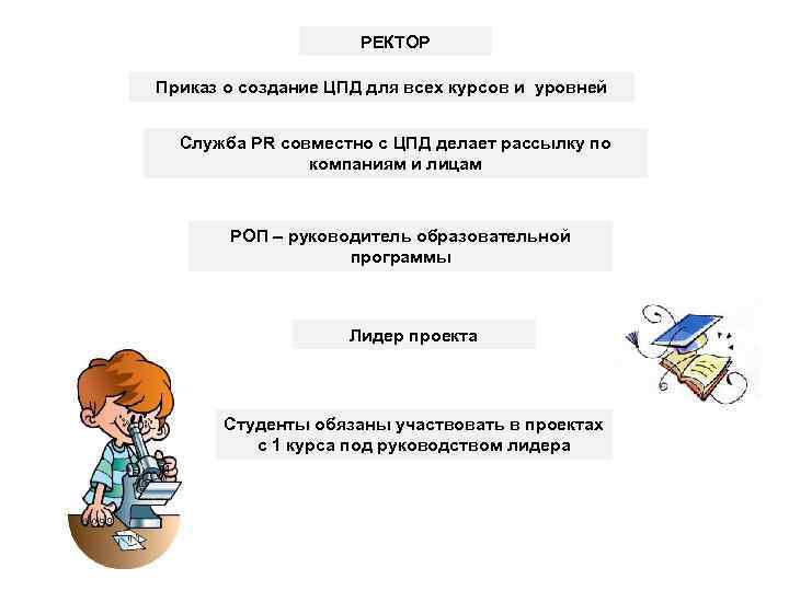 РЕКТОР Приказ о создание ЦПД для всех курсов и уровней Служба PR совместно с