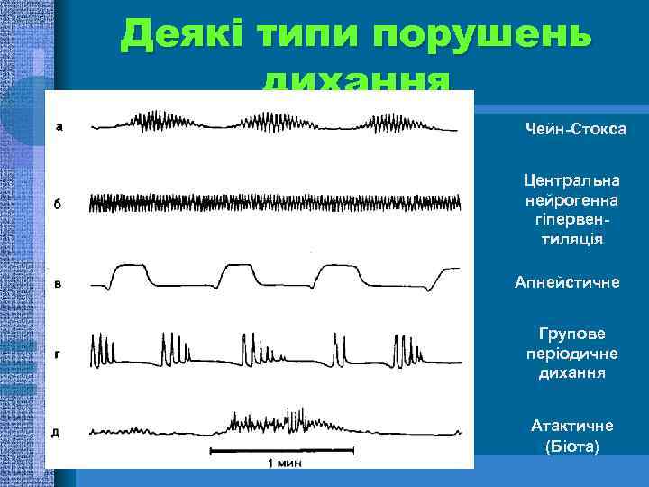 Деякі типи порушень дихання Чейн-Стокса Центральна нейрогенна гіпервентиляція Апнейстичне Групове періодичне дихання Атактичне (Біота)