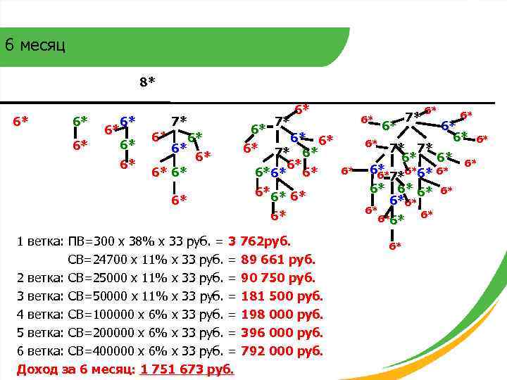6 месяц 8* 6* 6* 6* 6* 7* 6* 6* 6*6* 6* 6* 1