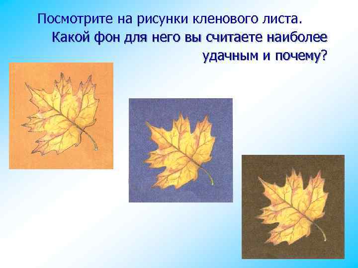 Посмотрите на рисунки кленового листа. Какой фон для него вы считаете наиболее удачным и