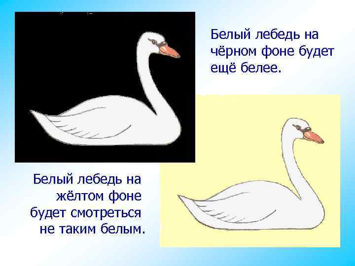 Белый лебедь на чёрном фоне будет ещё белее. Белый лебедь на жёлтом фоне будет