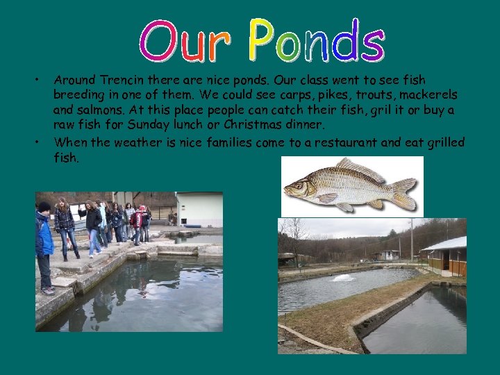  • • Around Trencin there are nice ponds. Our class went to see