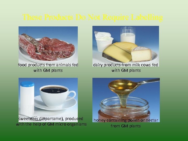 These Products Do Not Require Labelling food products from animals fed with GM plants