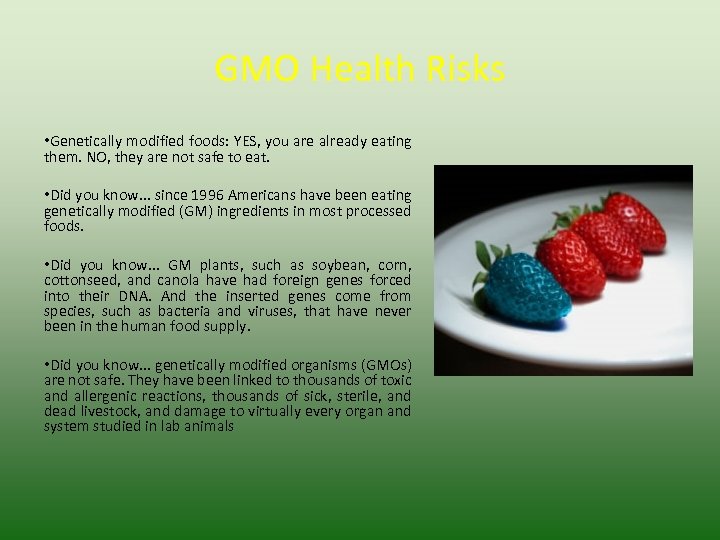 GMO Health Risks • Genetically modified foods: YES, you are already eating them. NO,