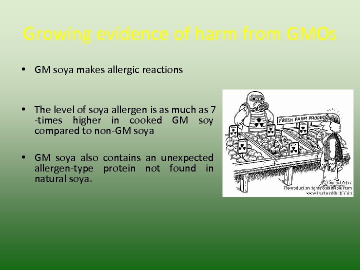 Growing evidence of harm from GMOs • GM soya makes allergic reactions • The