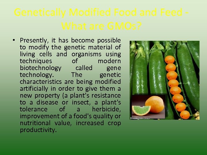 Genetically Modified Food and Feed What are GMOs? • Presently, it has become possible