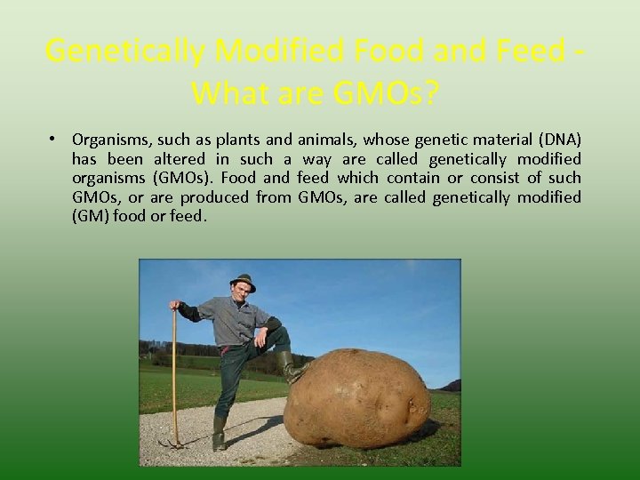 Genetically Modified Food and Feed What are GMOs? • Organisms, such as plants and