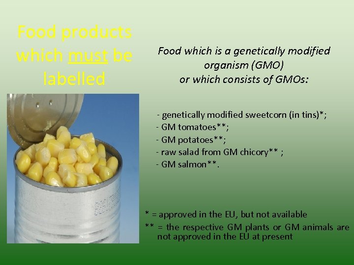Food products which must be labelled Food which is a genetically modified organism (GMO)