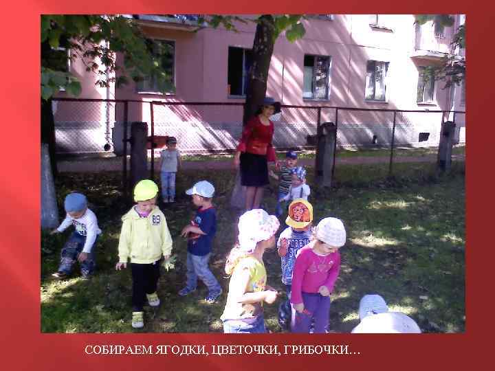 СОБИРАЕМ ЯГОДКИ, ЦВЕТОЧКИ, ГРИБОЧКИ… 