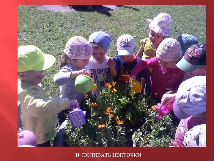 И ПОЛИВАТЬ ЦВЕТОЧКИ 