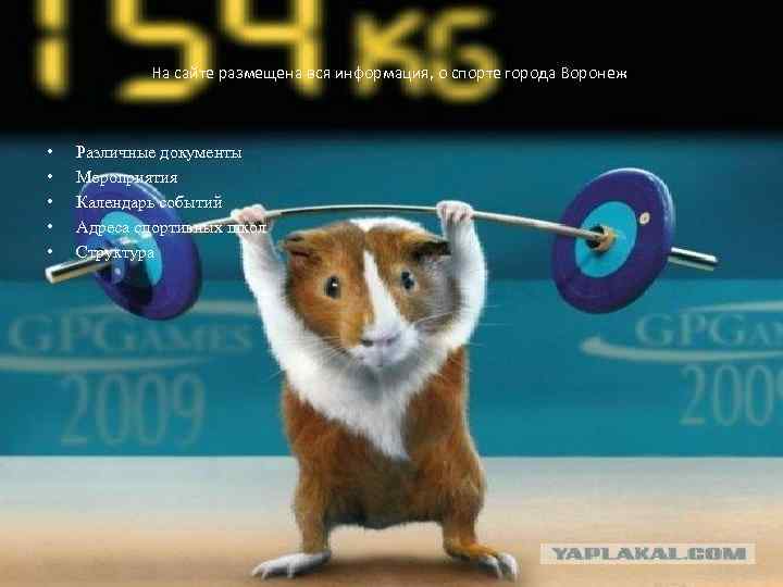 На сайте размещена вся информация, о спорте города Воронеж. • • • Различные документы