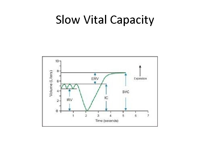 Slow Vital Capacity 