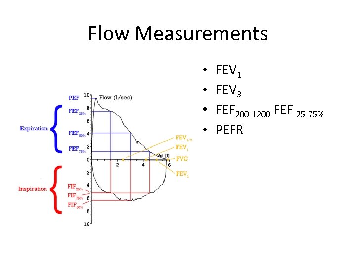Flow Measurements • • FEV 1 FEV 3 FEF 200 -1200 FEF 25 -75%