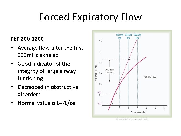 Forced Expiratory Flow FEF 200 -1200 • Average flow after the first 200 ml