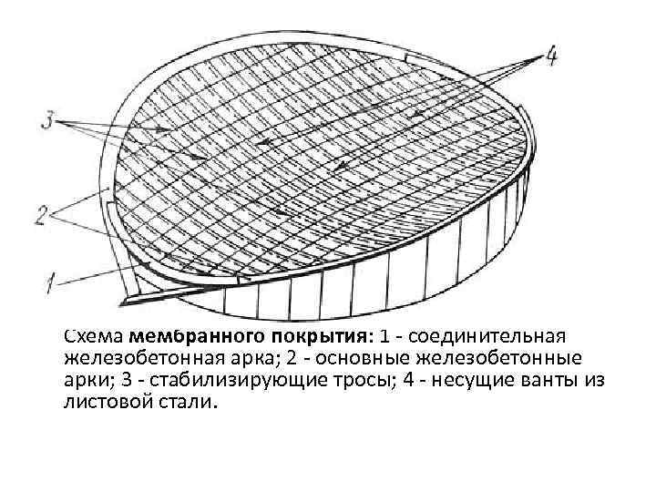 Схема мембранного покрытия: 1 - соединительная железобетонная арка; 2 - основные железобетонные арки; 3