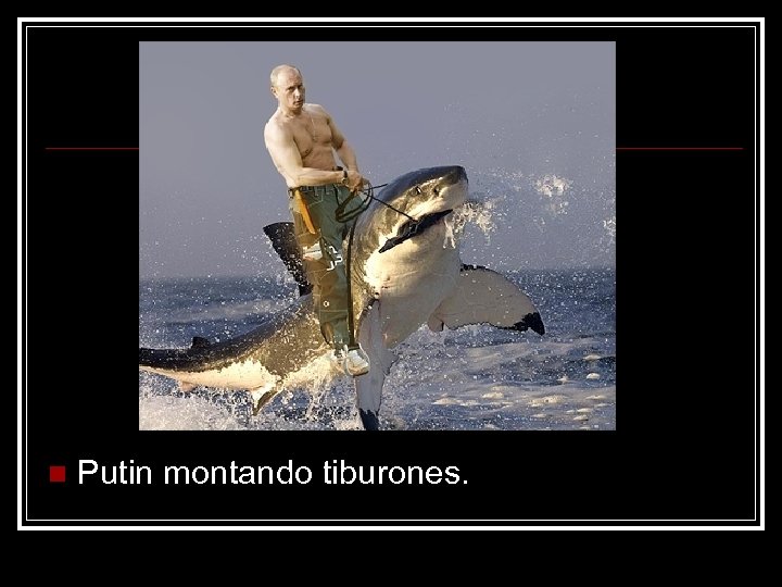 n Putin montando tiburones. 