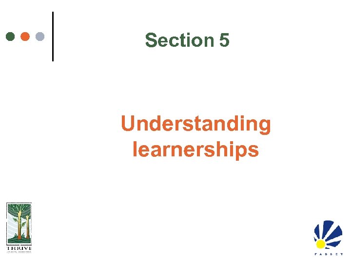 Section 5 Understanding learnerships 