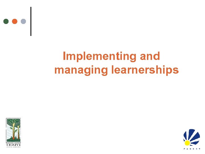 Implementing and managing learnerships 