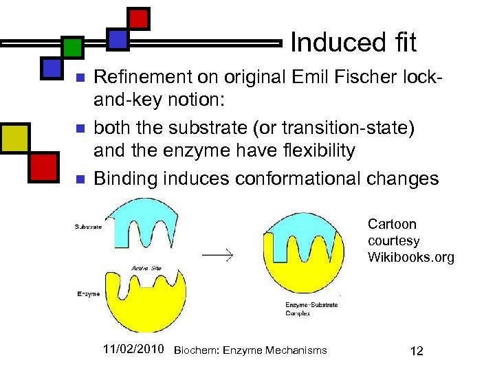 Induced fit n n n Refinement on original Emil Fischer lockand-key notion: both the
