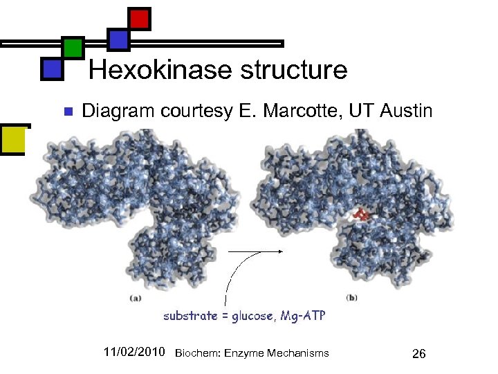 Hexokinase structure n Diagram courtesy E. Marcotte, UT Austin 11/02/2010 Biochem: Enzyme Mechanisms 26