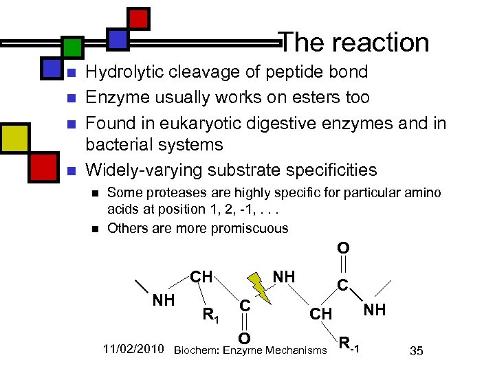 The reaction n n Hydrolytic cleavage of peptide bond Enzyme usually works on esters