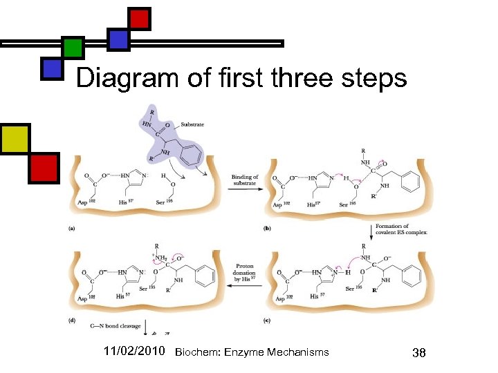 Diagram of first three steps 11/02/2010 Biochem: Enzyme Mechanisms 38 